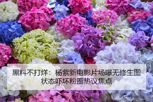 黑料不打烊：杨紫新电影片场曝无修生图状态吓坏粉圈热议焦点
